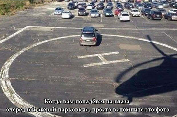 Прикольные картинки (94 фото)