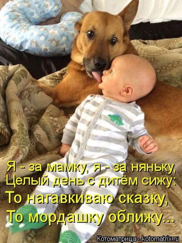Лучшие котоматрицы недели