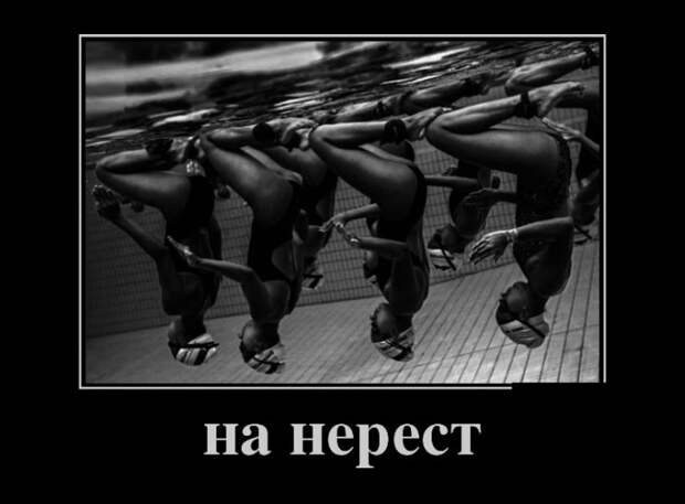 Демотиваторы демотиваторы, юмор