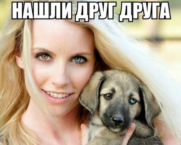 Смешные картинки с подписями Смешные картинки с подписями картинки, юмор