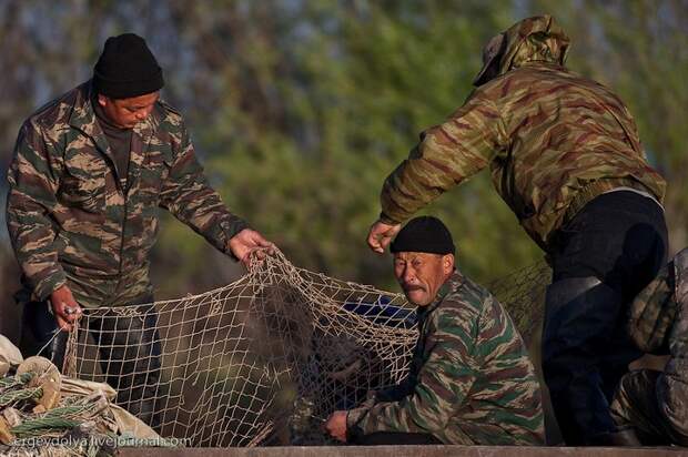 Как ловят рыбу в Астрахани (20)