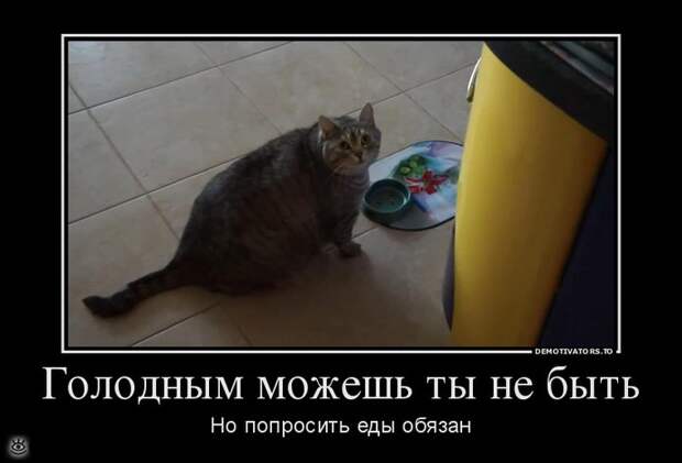 Будьте настойчивы! 22