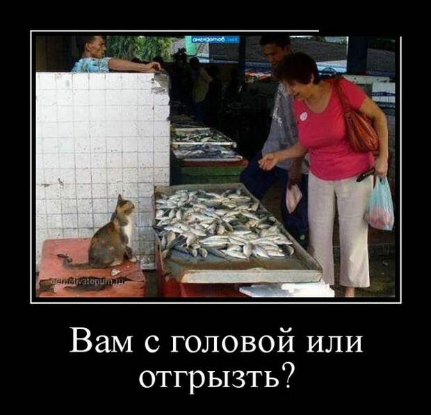 Демотиваторы (30 фото) Демотиваторы (30 фото)
