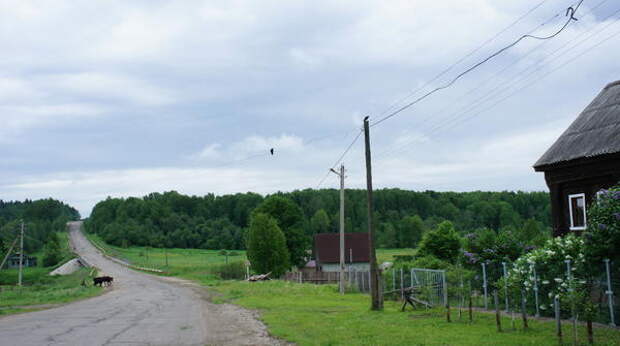 вид на реку вид на реку