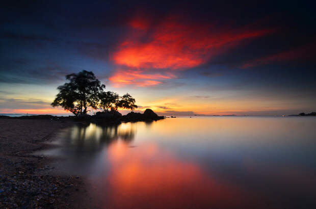 tree_at_sunset_by_comsic-d68gig5 (700x463, 253Kb)