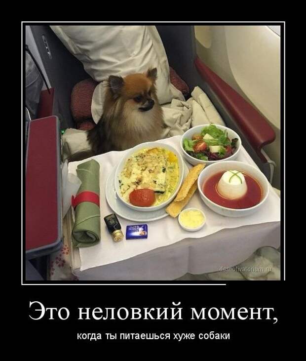 Демотиваторы (30 фото) Демотиваторы (30 фото)