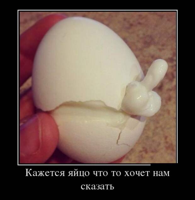Демотиваторы демотиваторы, прикол, смех, юмор
