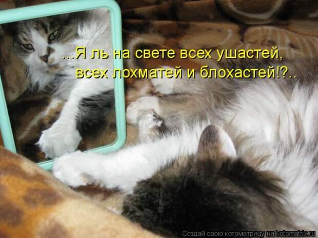 Мысли вслух :)