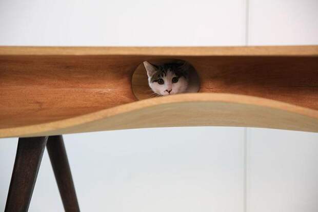стол с туннелями для кошек