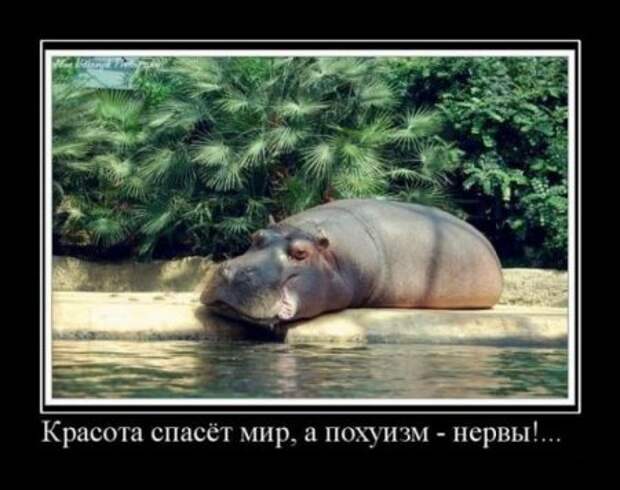 Cвежие демотиваторы