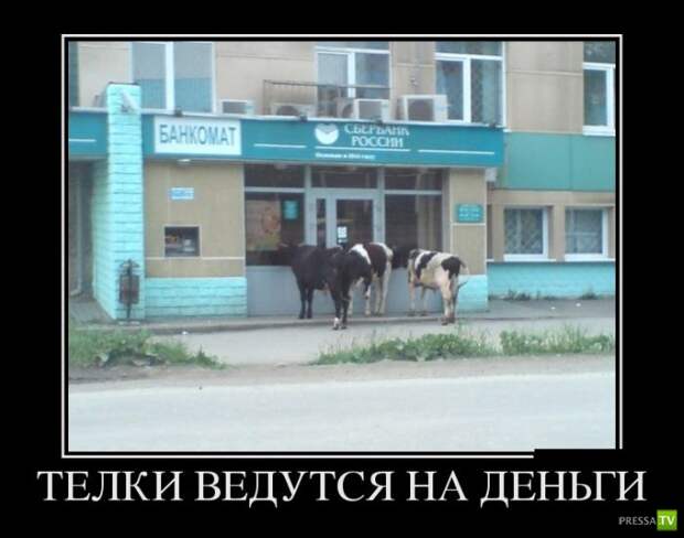 Демотиваторы на август, часть 22 (30 фото)