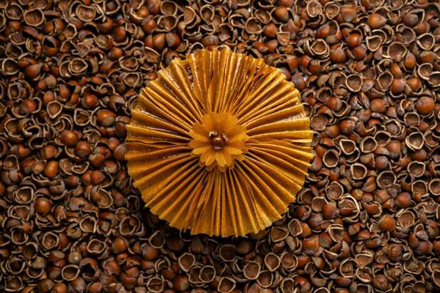 Королевский пирог «Цветок фундука» в La Réserve Paris - Hotel and Spa