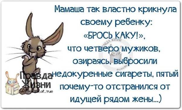 Брось каку!
