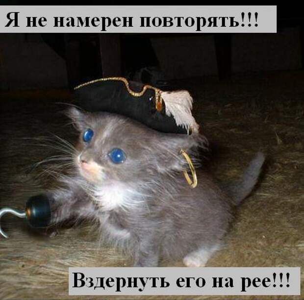 Мысли :) (50мыслей)