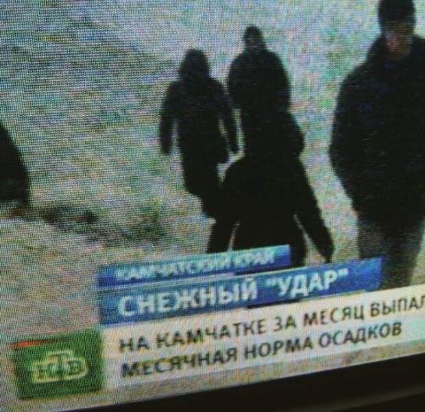 Вот это поворот… или 26 очень неожиданных фотографий