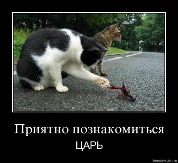 Демотиваторы прикольные которые заставляют задуматься.