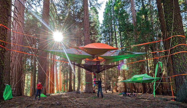 Дом на дереве: многоярусная палатка-гамак Tentsile, палатка-гамак