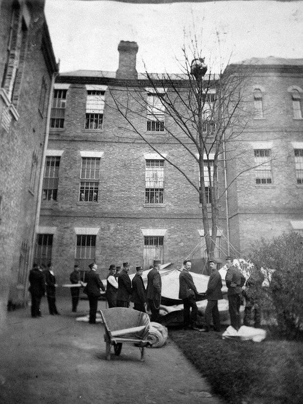 Попытка снять с дерева пациента психиатрической клиники. Лондон, 1895 год. жизнь, интересное, история