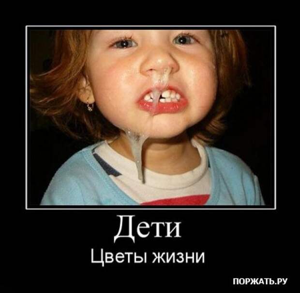 Коллекция демотиваторов