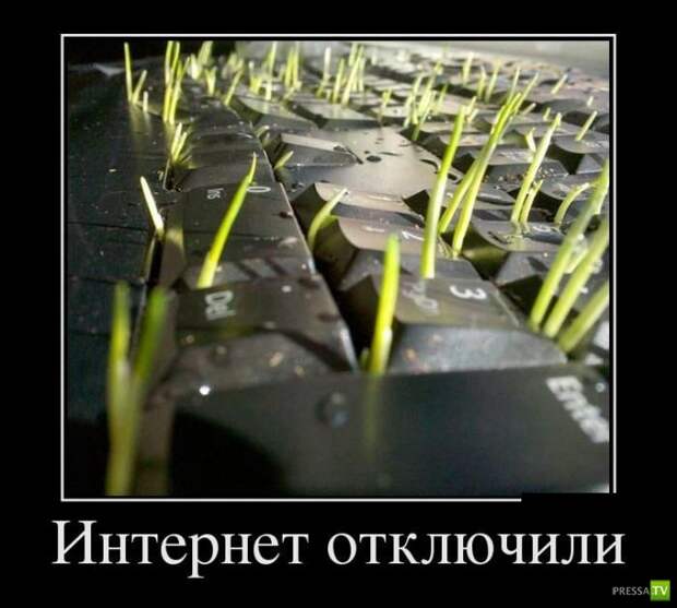 Демотиваторы на июнь, часть 13 (30 фото)