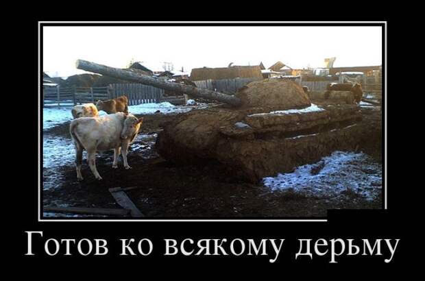 Демотиваторы (30 фото)