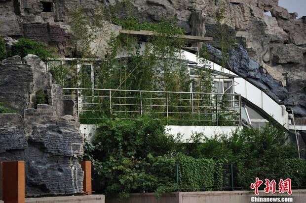 3303834_dom_6 (700x466, 136Kb)