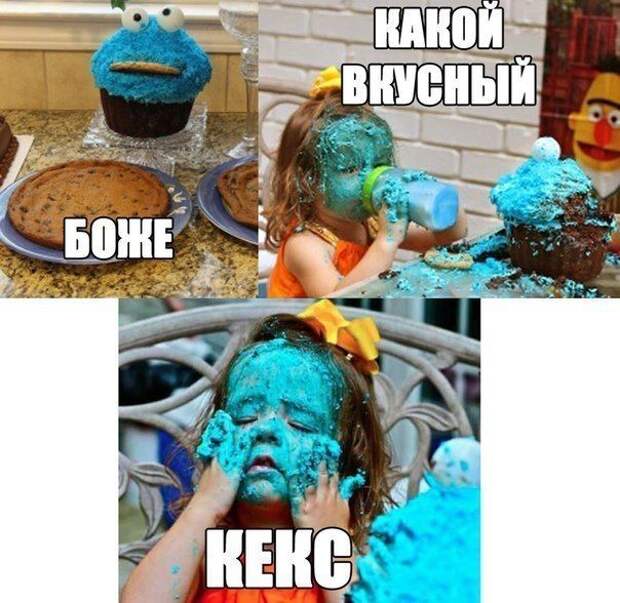 Смешные картинки с подписями катинки, прикол, юмор