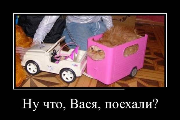 Демотиваторы демотиваторы, прикол, смех, юмор