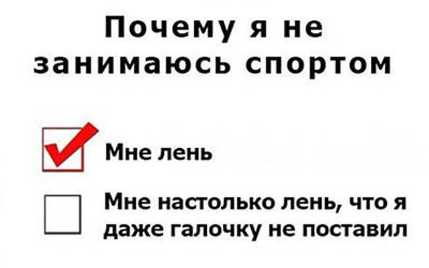 Лень как признак гениальности. 4 вида лени и нужно ли с ней бороться