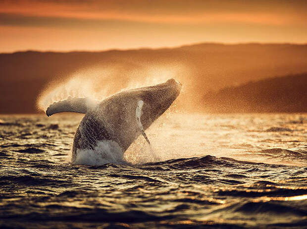 Лучшие фотографии июля 2015 от National Geographic