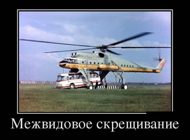 Подборка  демотиваторов демотиваторы, юмор