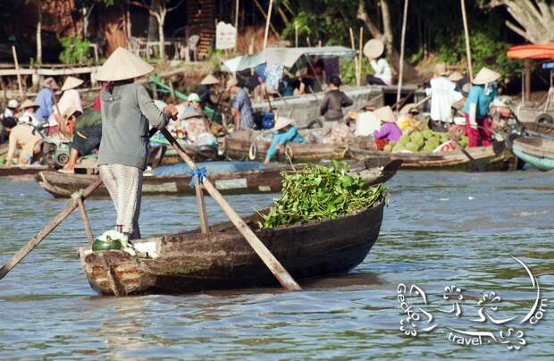 http://gecko-travel.com/wp-content/gallery/mekong-delta/vietnam-can-tho-women-paddling.jpg