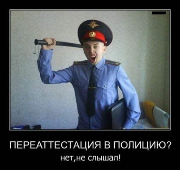 Юмор, демотиваторы, прикольные подписи, смешные фото.