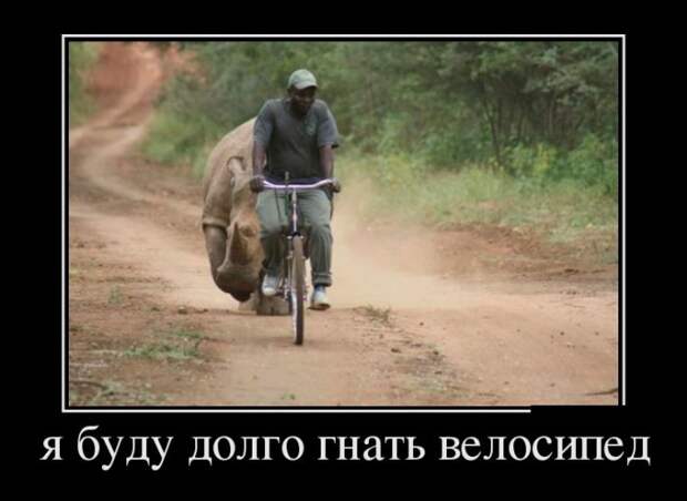 Демотиваторы Демотиваторы