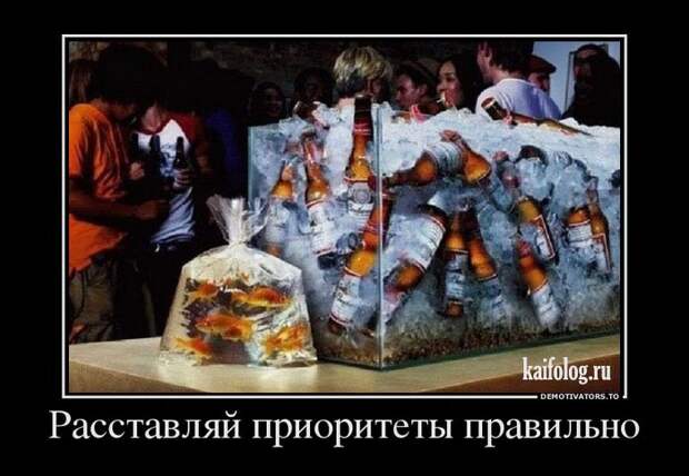 Демотиваторы про пиво (60 штук)