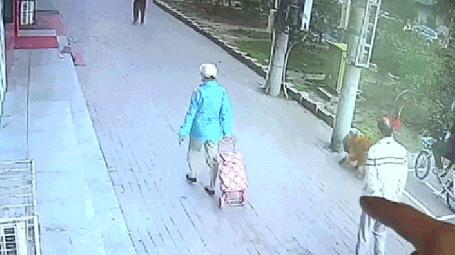 Полное видео смотрите ниже в статье Полное видео смотрите ниже в статье