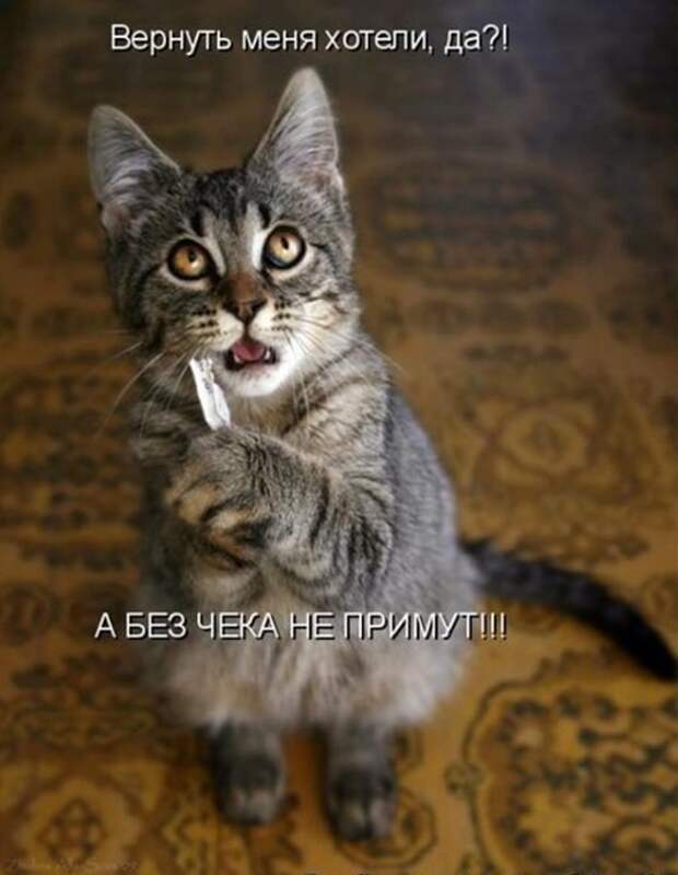 x_d8c9a8b3