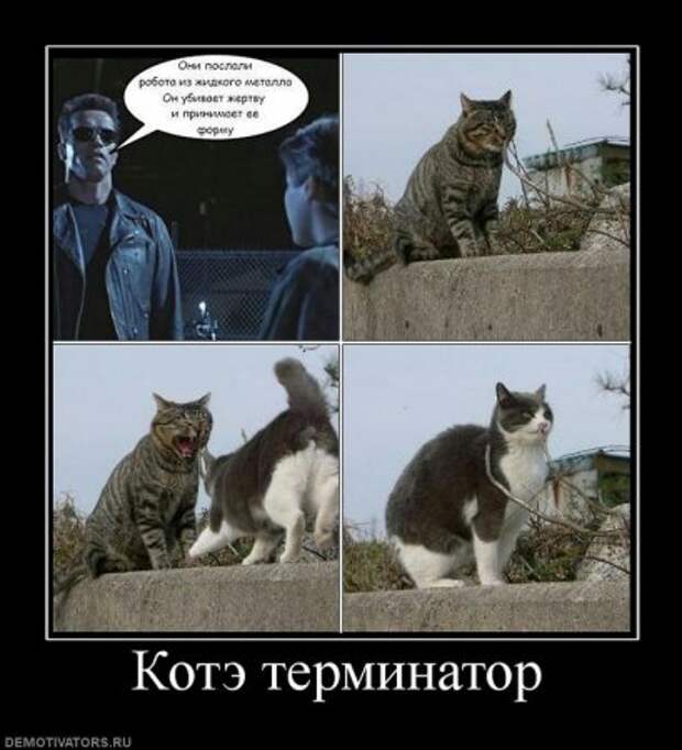 Юмор, демотиваторы, прикольные подписи, смешные фото.