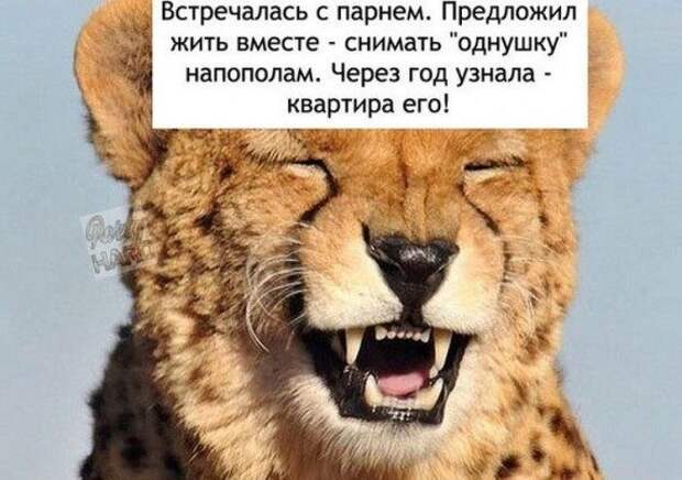 Забавные фотоприколы
