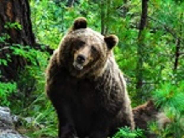 Фото: Роман и Татьяна Воробьевы