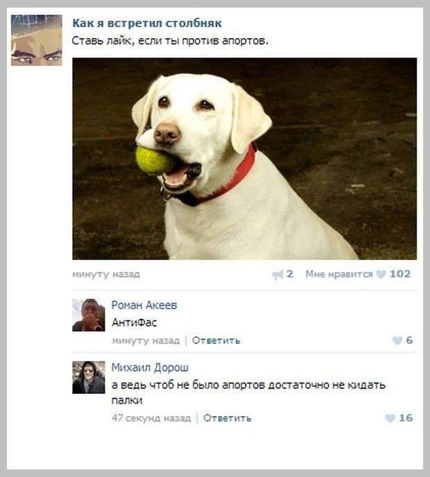 Забавные комменты из соцсетей Забавные комменты из соцсетей