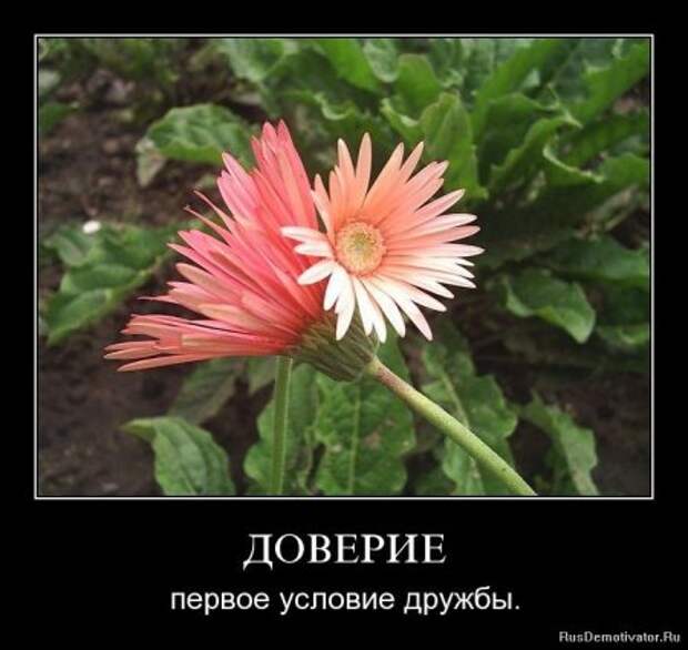 Демотиваторы о дружбе.