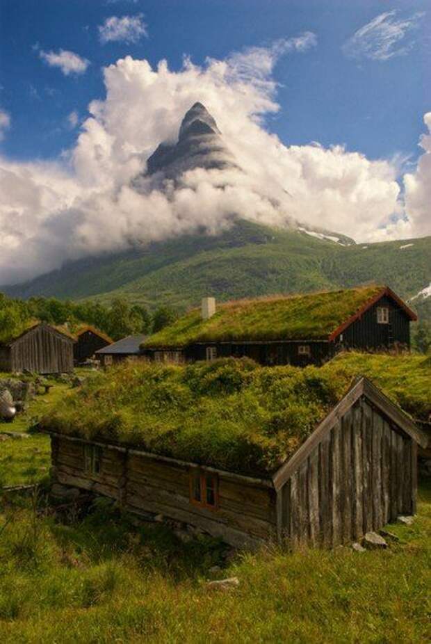 Красота в картинках