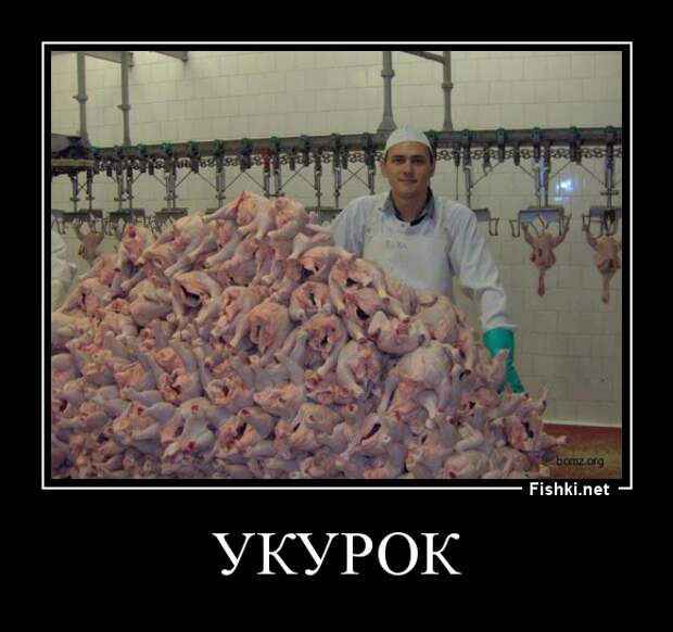 Демотиваторы демотиваторы, картинки, приколы
