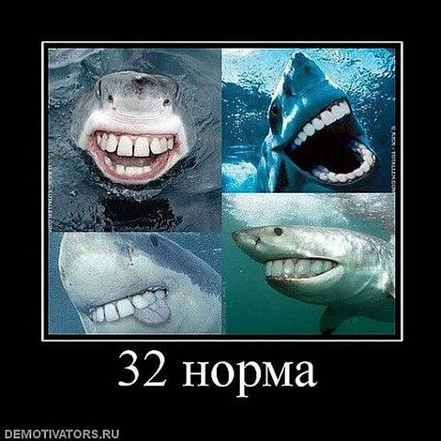 Картинки для улыбок. Улыбайтесь!