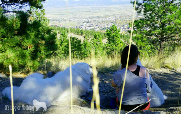 Great Pyrenees Hiking