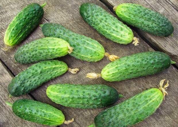 cucumbers