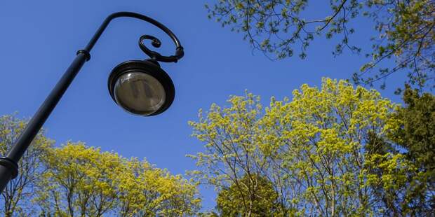 Освещение в парке Дубрава восстановят до конца ноября