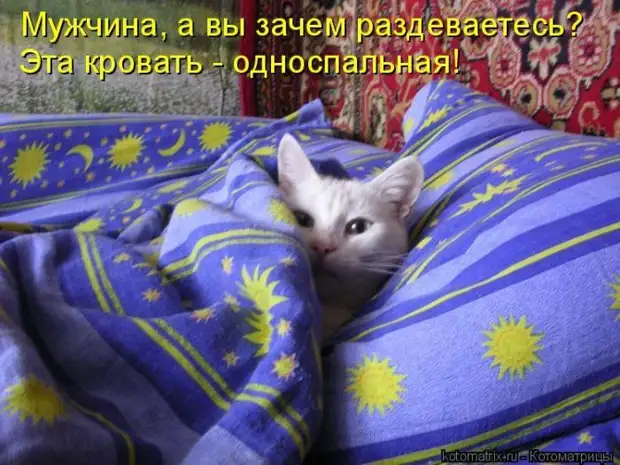 Котоматрицы великолепные, каждая с кусочком тепла, позитива и улыбкой!