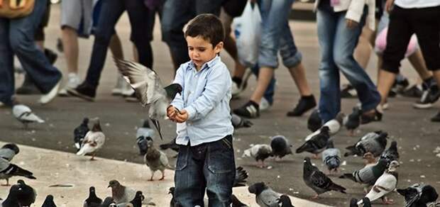 Kid-Feeding-Pigeons-Barcelona_